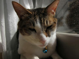 IMG01378.jpg