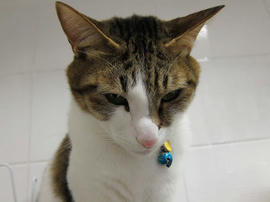 IMG01385.jpg