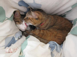IMG01386.jpg