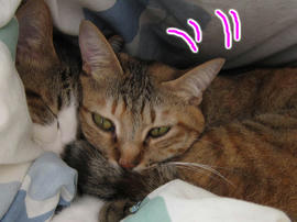 IMG01387.jpg