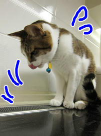 IMG01399.jpg
