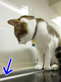 IMG01400.jpg
