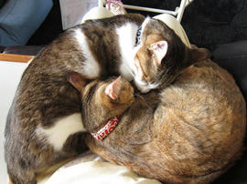 IMG01404.jpg
