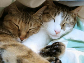 IMG01407.jpg