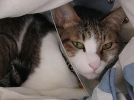 IMG01428.jpg