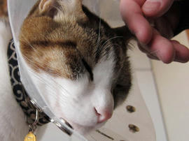 IMG01432.jpg