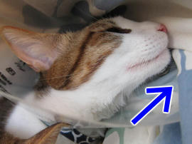 IMG01435.jpg