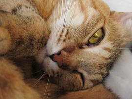 IMG01436.jpg