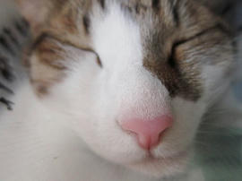 IMG01441.jpg