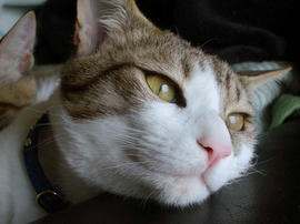 IMGP10709.jpg