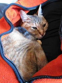 IMG01443.jpg