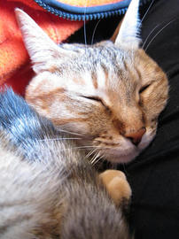 IMG01445.jpg