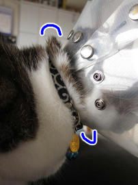 IMG01446.jpg