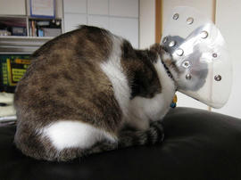 IMG01447.jpg