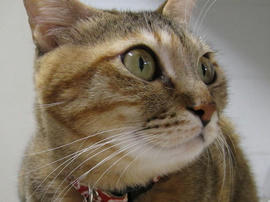 IMG01453.jpg