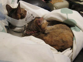IMG01455.jpg