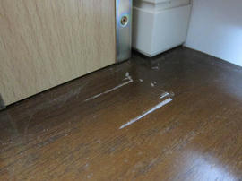 IMG01465.jpg