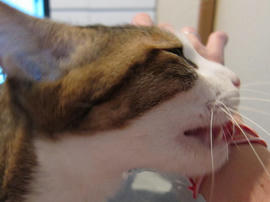 IMG01463.jpg