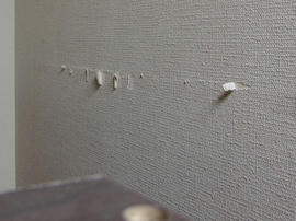 IMG01471.jpg