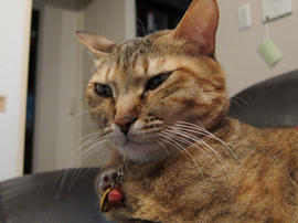 IMG01480.jpg