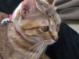 IMGP10735.jpg