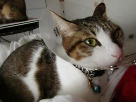 IMG01492.jpg