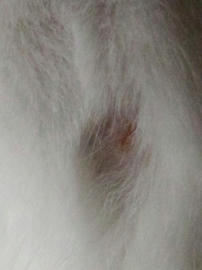 IMG01493.jpg