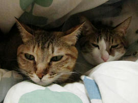 IMG01498.jpg