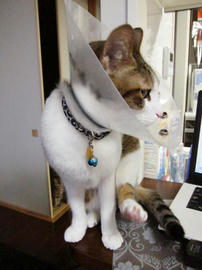 IMG01505.jpg
