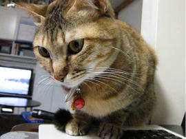IMG01506.jpg