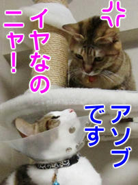 IMG01522.jpg