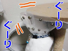IMG01527.jpg