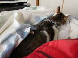 IMG01535.jpg