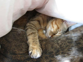 IMG01536.jpg