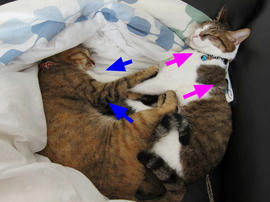 IMG01538.jpg