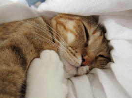IMG01540.jpg