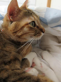 IMG01542.jpg