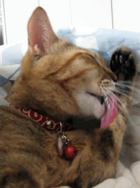 IMG01543.jpg