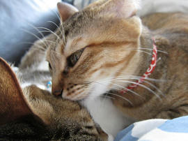 IMG01546.jpg