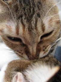 IMG01547.jpg