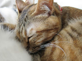 IMG01551.jpg