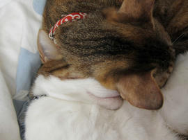 IMG01552.jpg