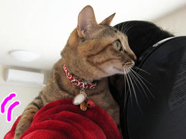 IMG01553.jpg