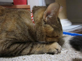 IMG01560.jpg