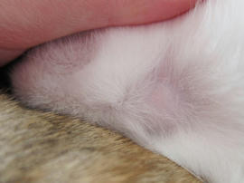 IMG01581.jpg
