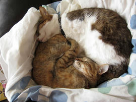 IMG01582.jpg