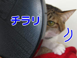 IMG01584.jpg
