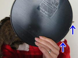 IMG01583.jpg
