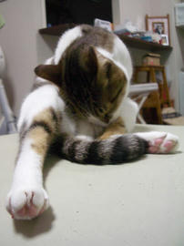 IMGP13438.jpg