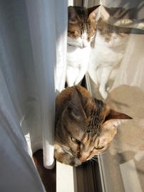 IMG01585.jpg